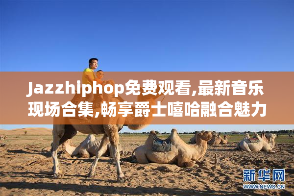 Jazzhiphop免费观看,最新音乐现场合集,畅享爵士嘻哈融合魅力