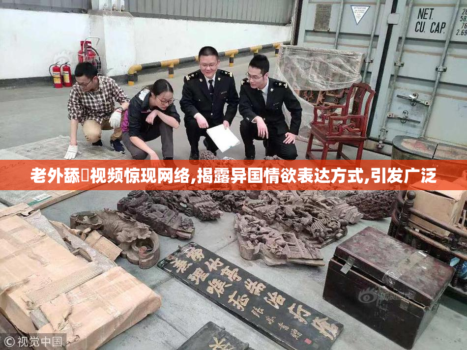 老外舔屄视频惊现网络,揭露异国情欲表达方式,引发广泛