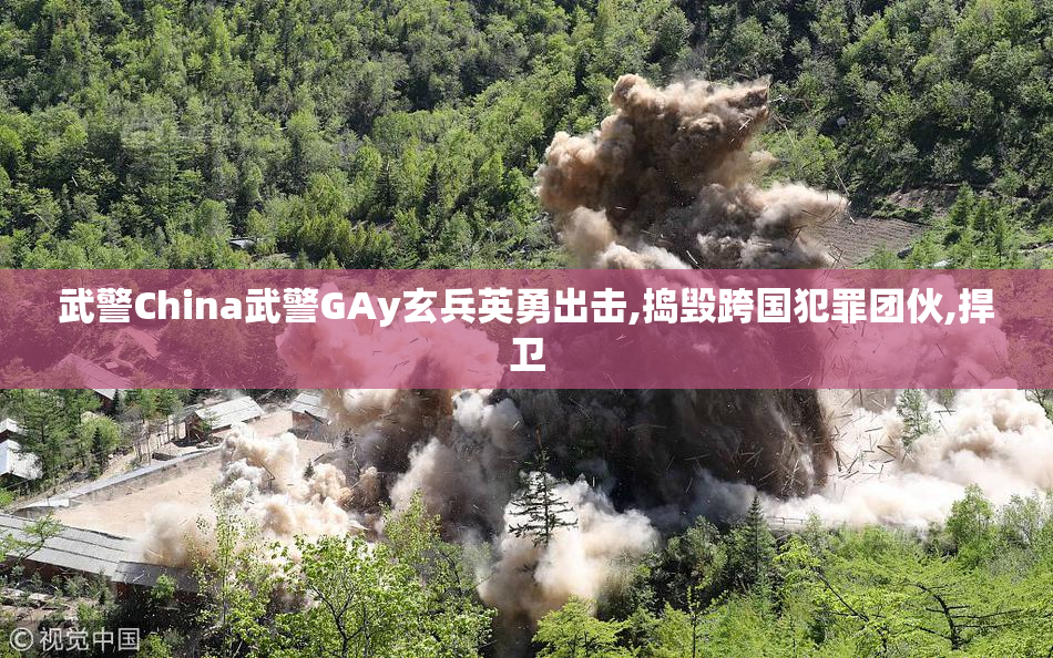 武警China武警GAy玄兵英勇出击,捣毁跨国犯罪团伙,捍卫