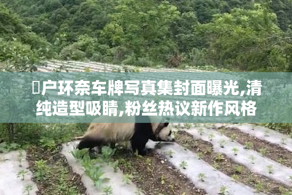 瀬户环奈车牌写真集封面曝光,清纯造型吸睛,粉丝热议新作风格