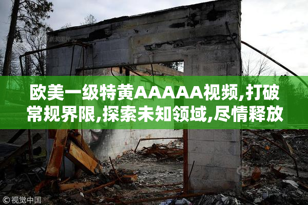 欧美一级特黄AAAAA视频,打破常规界限,探索未知领域,尽情释放内心