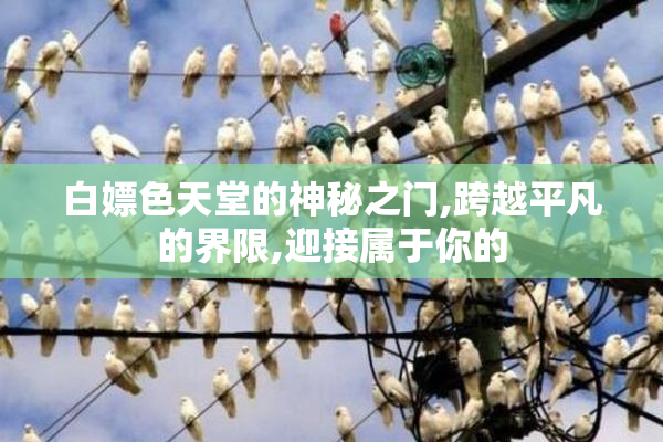 白嫖色天堂的神秘之门,跨越平凡的界限,迎接属于你的