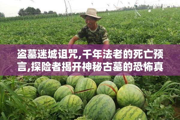盗墓迷城诅咒,千年法老的死亡预言,探险者揭开神秘古墓的恐怖真相