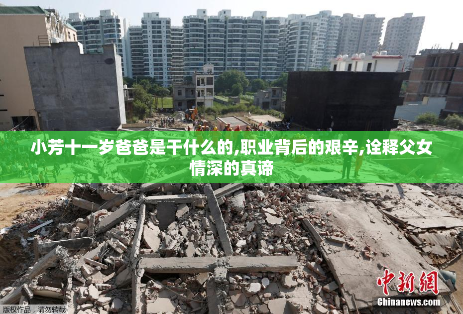 小芳十一岁爸爸是干什么的,职业背后的艰辛,诠释父女情深的真谛