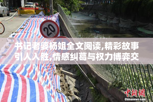 书记老婆杨姐全文阅读,精彩故事引人入胜,情感纠葛与权力博弈交织