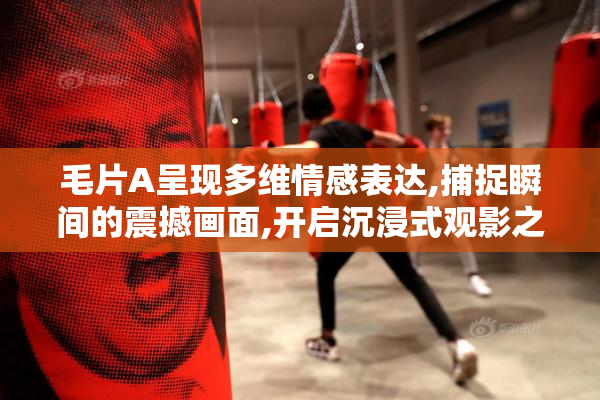 毛片A呈现多维情感表达,捕捉瞬间的震撼画面,开启沉浸式观影之旅