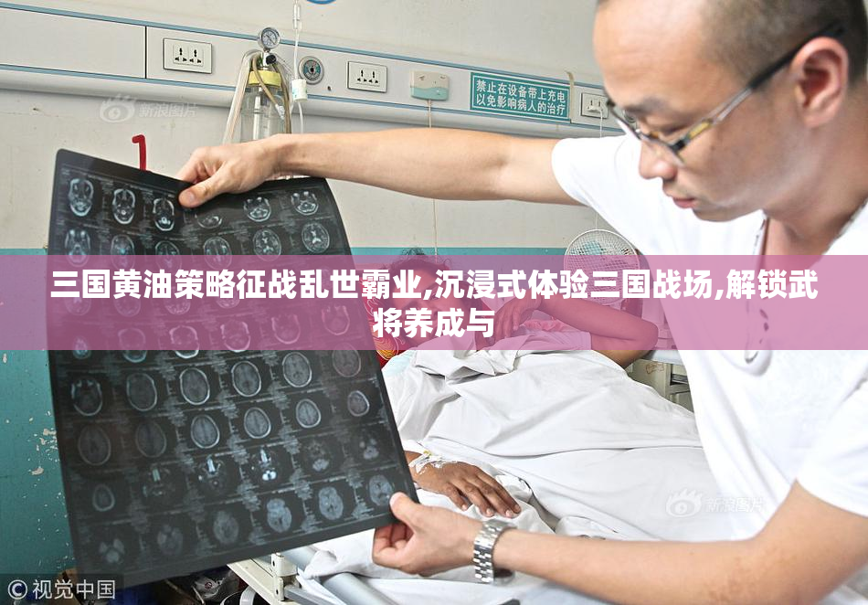 三国黄油策略征战乱世霸业,沉浸式体验三国战场,解锁武将养成与