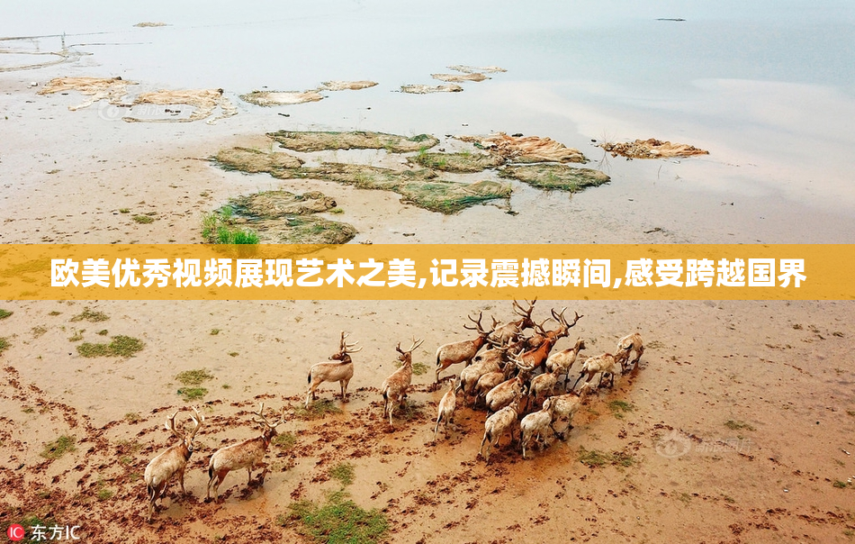 欧美优秀视频展现艺术之美,记录震撼瞬间,感受跨越国界