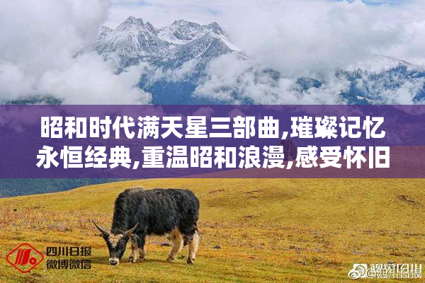 昭和时代满天星三部曲,璀璨记忆永恒经典,重温昭和浪漫,感受怀旧情怀