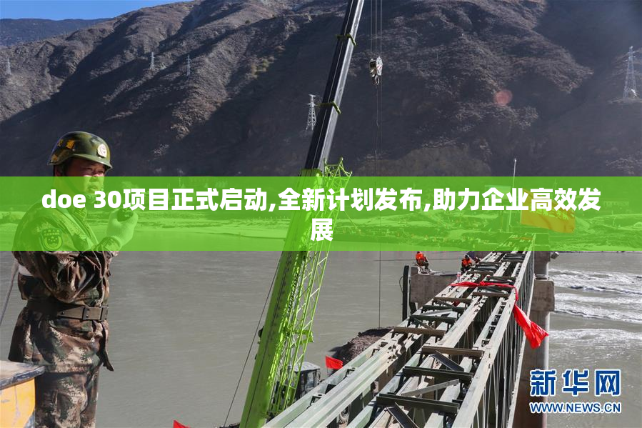 doe 30项目正式启动,全新计划发布,助力企业高效发展