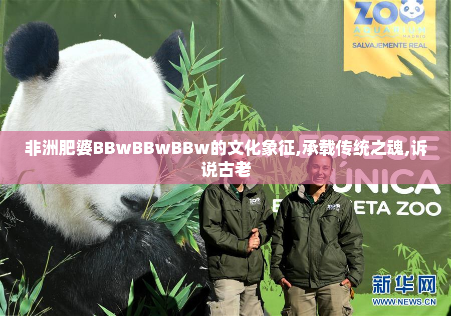 非洲肥婆BBwBBwBBw的文化象征,承载传统之魂,诉说古老