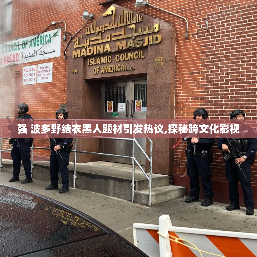 强 波多野结衣黑人题材引发热议,探秘跨文化影视