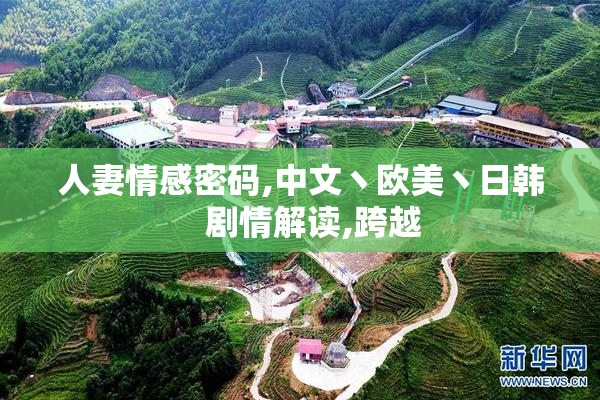 人妻情感密码,中文丶欧美丶日韩   剧情解读,跨越