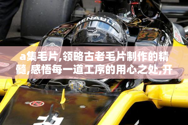 a集毛片,领略古老毛片制作的精髓,感悟每一道工序的用心之处,开启