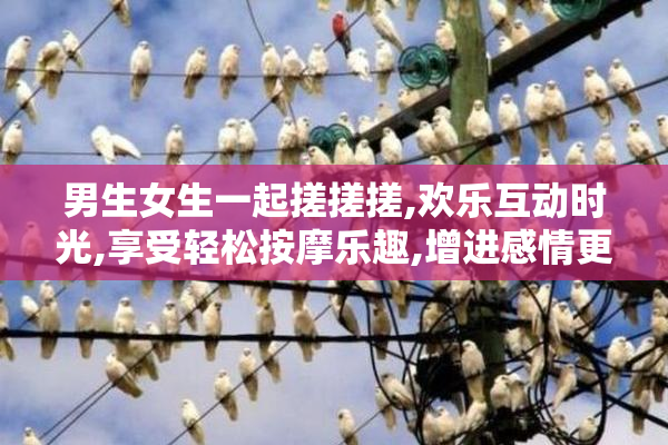 男生女生一起搓搓搓,欢乐互动时光,享受轻松按摩乐趣,增进感情更亲密