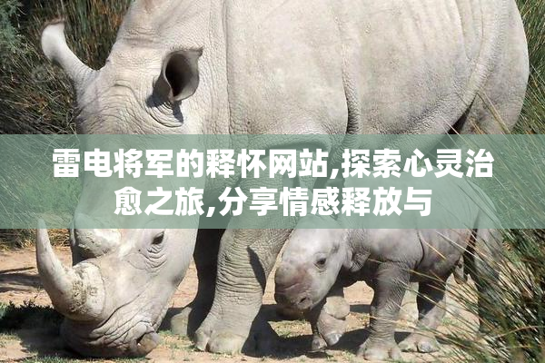 雷电将军的释怀网站,探索心灵治愈之旅,分享情感释放与