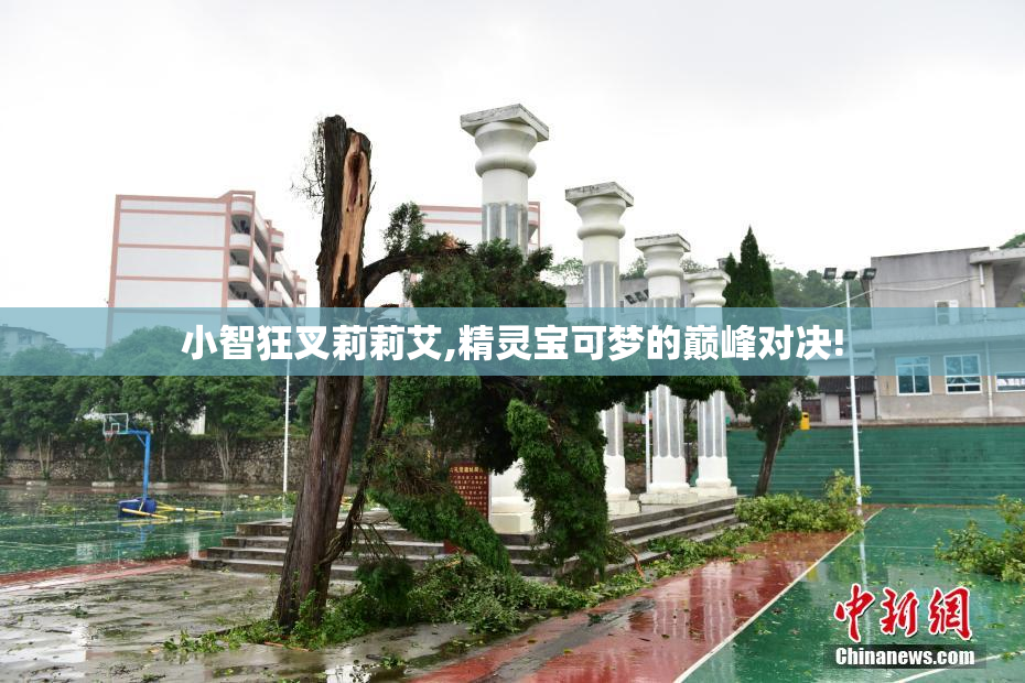 小智狂叉莉莉艾,精灵宝可梦的巅峰对决!