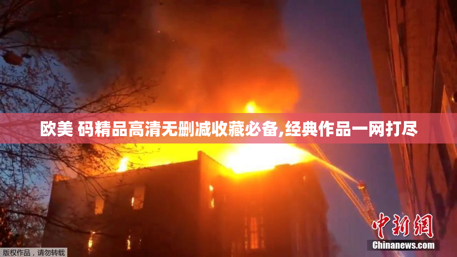 欧美 码精品高清无删减收藏必备,经典作品一网打尽