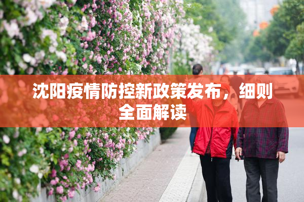 沈阳疫情防控新政策发布，细则全面解读