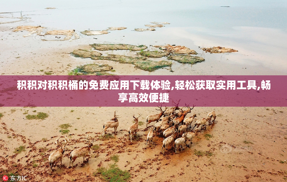 积积对积积桶的免费应用下载体验,轻松获取实用工具,畅享高效便捷
