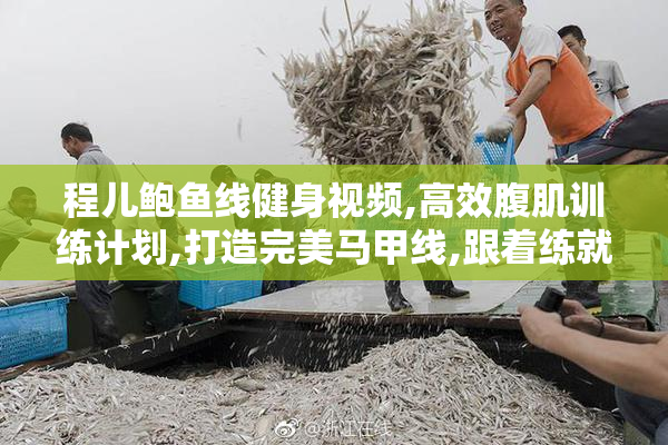 程儿鲍鱼线健身视频,高效腹肌训练计划,打造完美马甲线,跟着练就