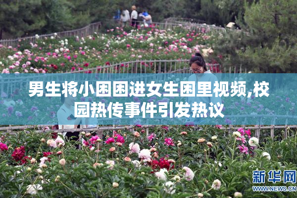 男生将小困困进女生困里视频,校园热传事件引发热议
