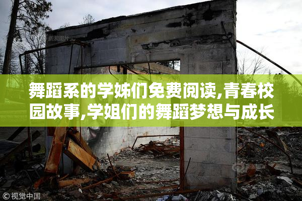 舞蹈系的学姊们免费阅读,青春校园故事,学姐们的舞蹈梦想与成长