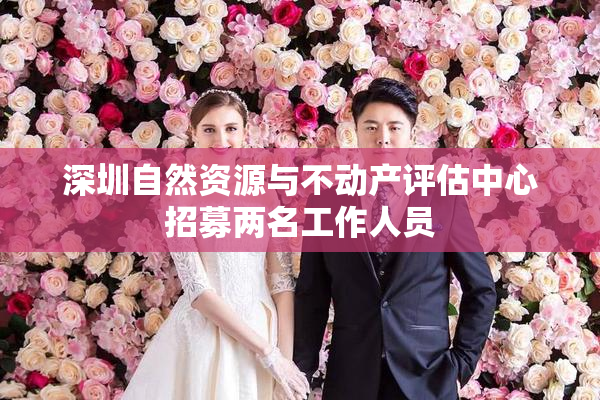 深圳自然资源与不动产评估中心招募两名工作人员