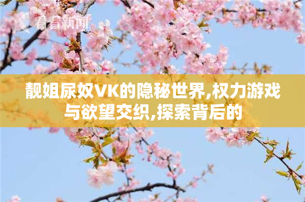 靓姐尿奴VK的隐秘世界,权力游戏与欲望交织,探索背后的