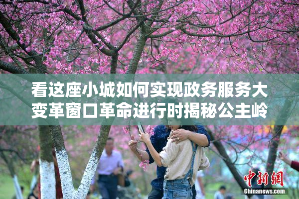 看这座小城如何实现政务服务大变革窗口革命进行时揭秘公主岭政务