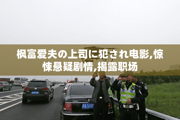 枫富爱夫の上司に犯され电影,惊悚悬疑剧情,揭露职场