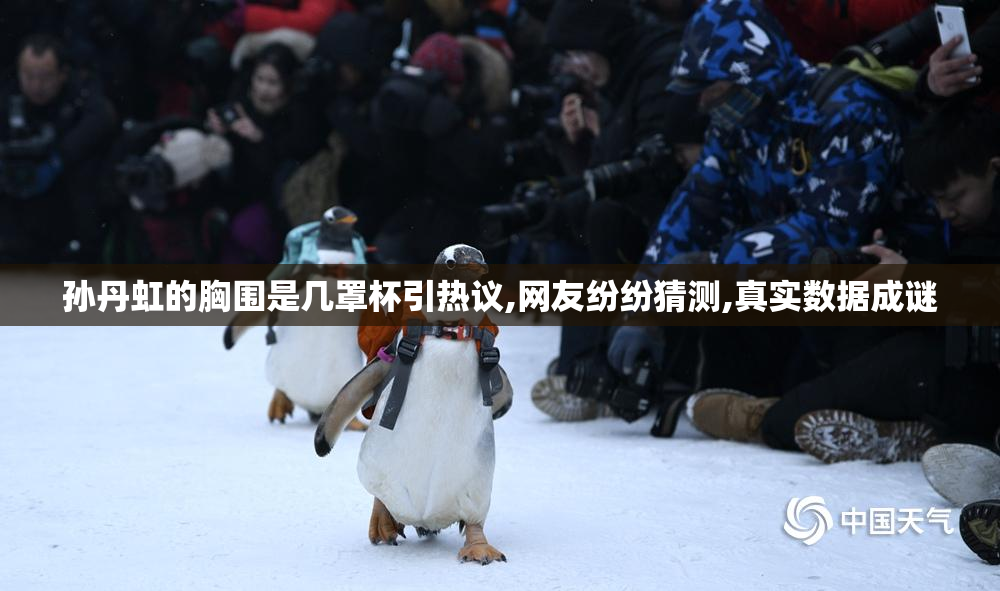 孙丹虹的胸围是几罩杯引热议,网友纷纷猜测,真实数据成谜