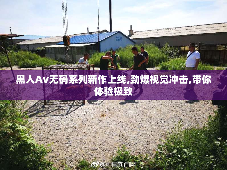 黑人Av无码系列新作上线,劲爆视觉冲击,带你体验极致