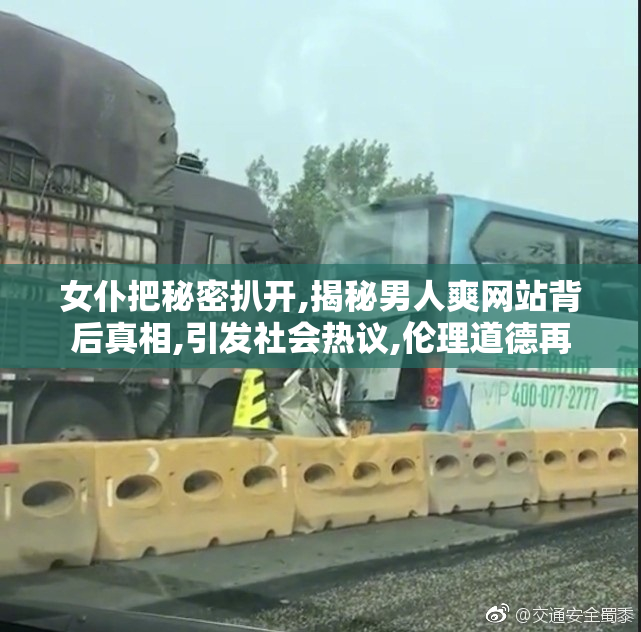 女仆把秘密扒开,揭秘男人爽网站背后真相,引发社会热议,伦理道德再