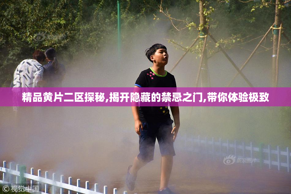 精品黄片二区探秘,揭开隐藏的禁忌之门,带你体验极致