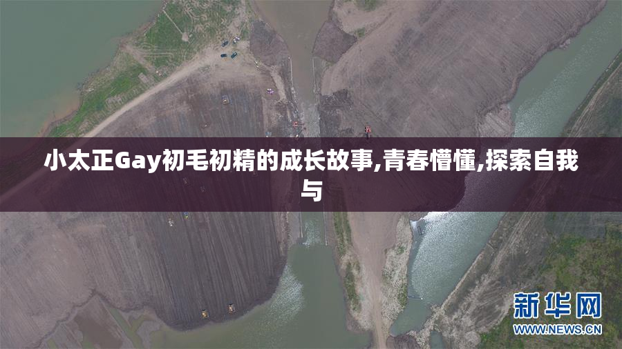 小太正Gay初毛初精的成长故事,青春懵懂,探索自我与