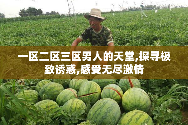 一区二区三区男人的天堂,探寻极致诱惑,感受无尽激情