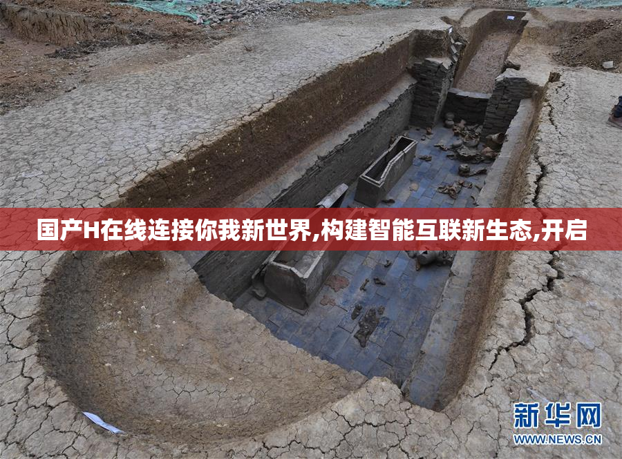 国产H在线连接你我新世界,构建智能互联新生态,开启