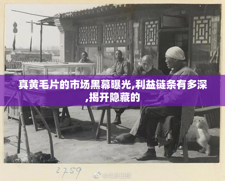 真黄毛片的市场黑幕曝光,利益链条有多深,揭开隐藏的