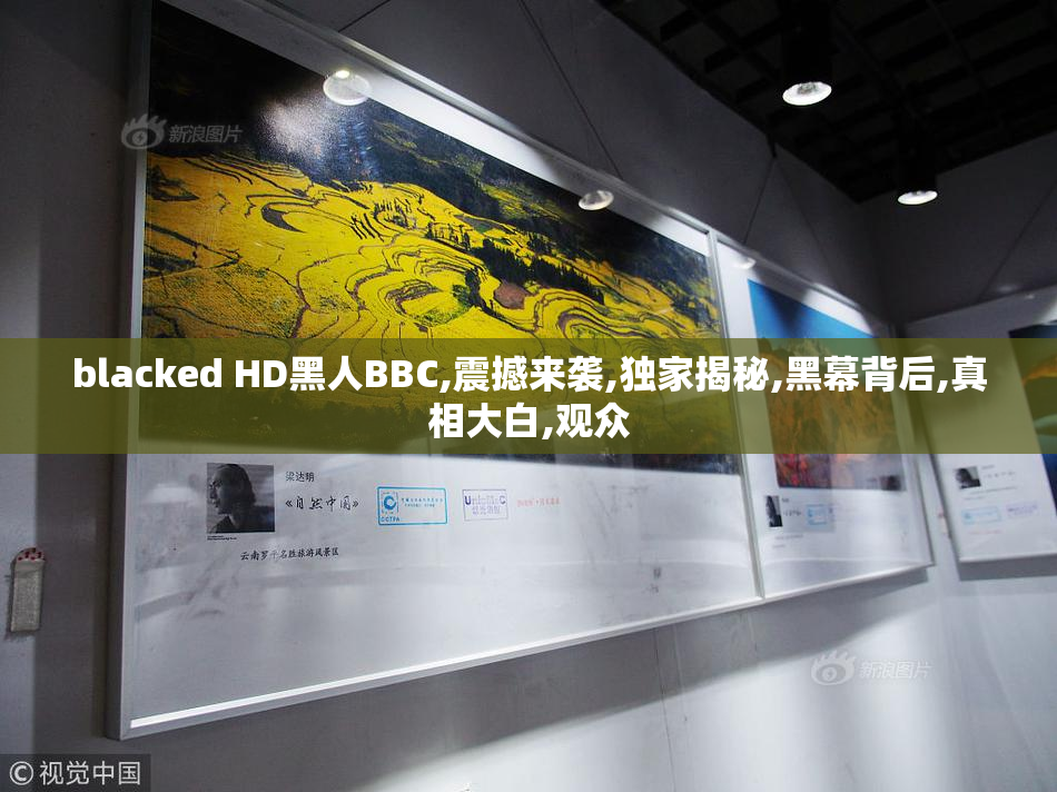 blacked HD黑人BBC,震撼来袭,独家揭秘,黑幕背后,真相大白,观众