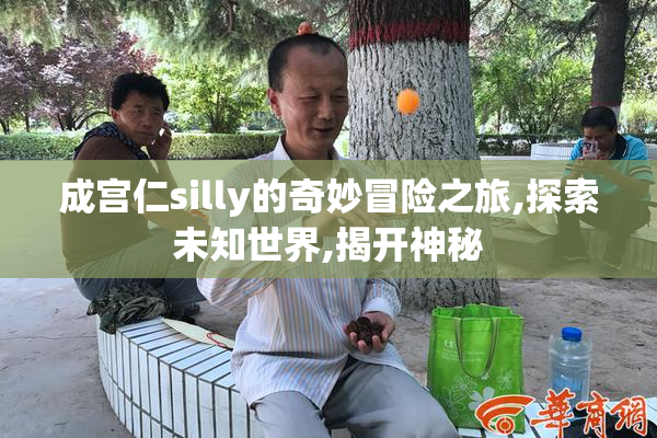 成宫仁silly的奇妙冒险之旅,探索未知世界,揭开神秘