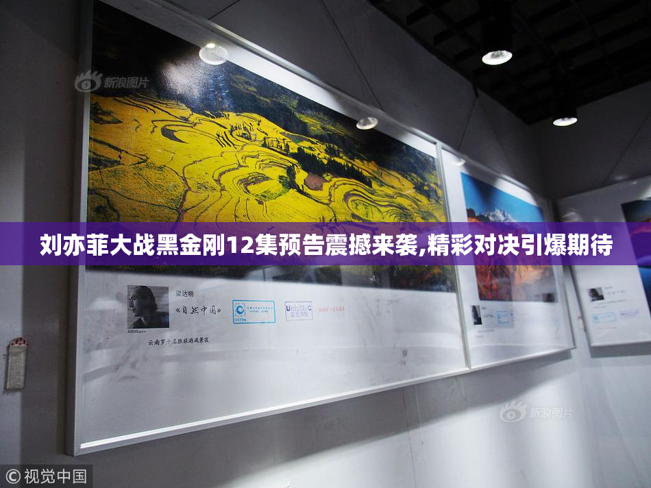 刘亦菲大战黑金刚12集预告震撼来袭,精彩对决引爆期待