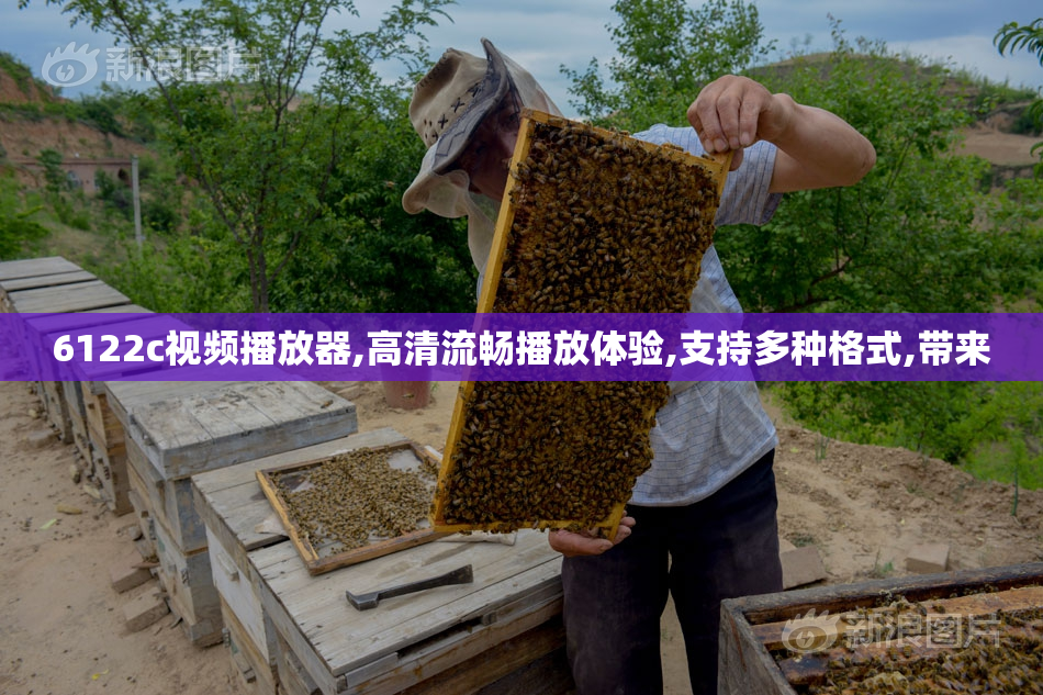 6122c视频播放器,高清流畅播放体验,支持多种格式,带来