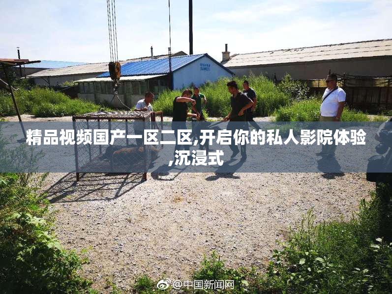 精品视频国产一区二区,开启你的私人影院体验,沉浸式