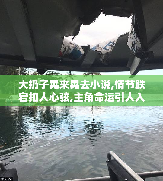 大扔子晃来晃去小说,情节跌宕扣人心弦,主角命运引人入