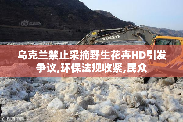乌克兰禁止采摘野生花卉HD引发争议,环保法规收紧,民众