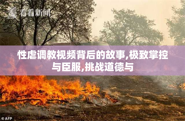 性虐调教视频背后的故事,极致掌控与臣服,挑战道德与