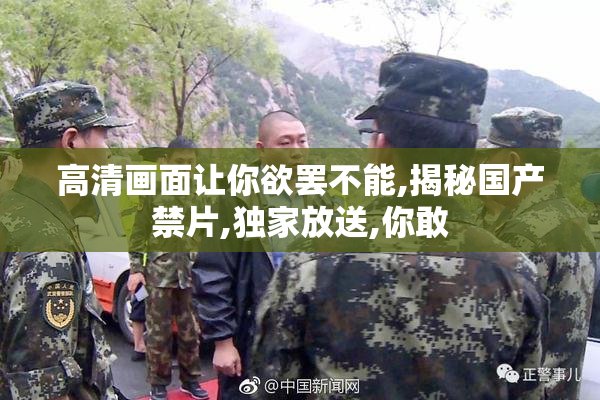 高清画面让你欲罢不能,揭秘国产禁片,独家放送,你敢