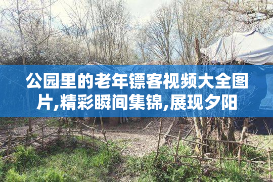 公园里的老年镖客视频大全图片,精彩瞬间集锦,展现夕阳