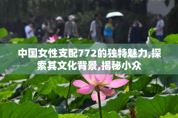 中国女性支配772的独特魅力,探索其文化背景,揭秘小众